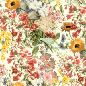 Australian Museum of Design Floral Wallpaper by Chris Stone Meadow Press