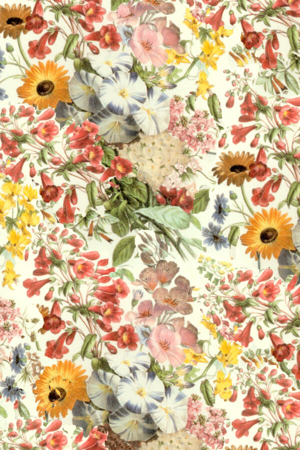 Australian Museum of Design Floral Wallpaper by Chris Stone Meadow Press